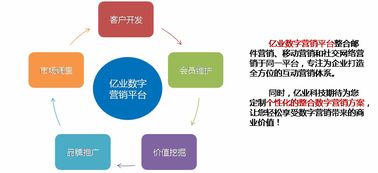 上海億業(yè)網絡科技 引領網絡技術開發(fā)新時代